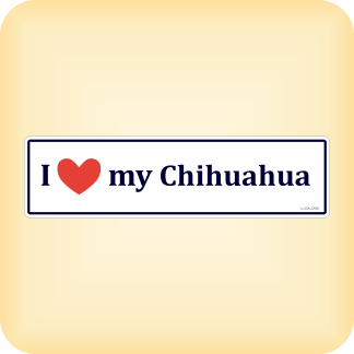 I Love my Chihuahua - 300 x 79mm (11.8" x 3.1")